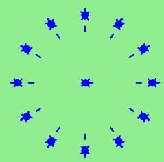 turtle clock